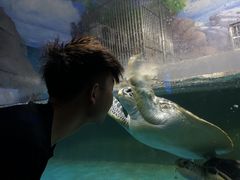 -常州海昌海洋探索馆