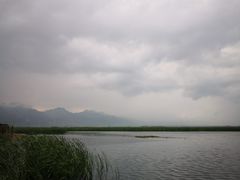 -哈素海
