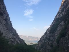 -豫丰汇河南名菜楼(武记餐饮)