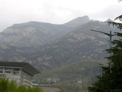 -赵记煎饼卷大葱(东岳店)