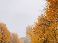 -玲珑塔公园