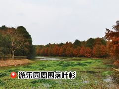 -上海海湾国家森林公园