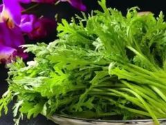 茼蒿-毛驴小木屋涮毛肚(清水北路店)