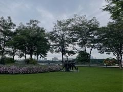 -海珠湖公园