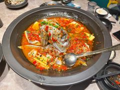 黄晓猫剁椒鱼头-黄晓猫剁椒大鱼头(海岸城店)