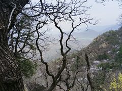 -北京鹫峰国家森林公园