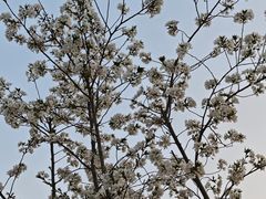 -钟山体育运动公园