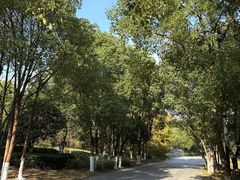 -八大山人梅湖景区