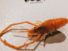 -丹江渔村(望京店)