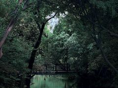 -青枫公园