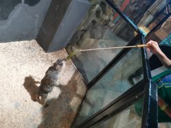 -酷嗒动物文化乐园(cutezoo西溪乐天城店)