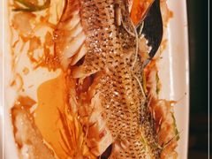 -YAFEE雅菲·粤菜·湘菜·融合菜(魏公村店)