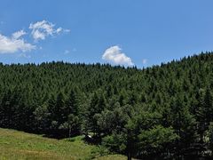 -驼梁风景区