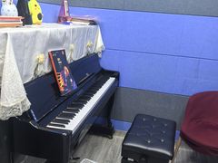 -缪斯琴行英皇小提琴.钢琴.吉他(张江店)