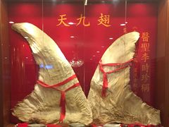 -潮人姐妹轩(海宁路店)