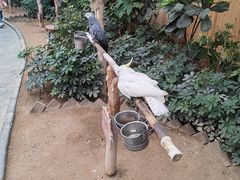 -南宫五洲植物乐园