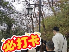-灵顺寺