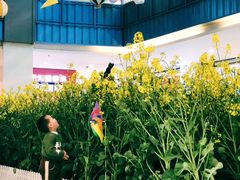 -天虹购物中心(石路店)