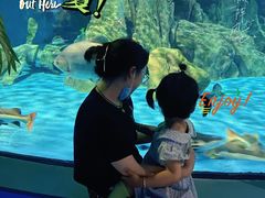-常州海昌海洋探索馆