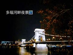 -多瑙河游船