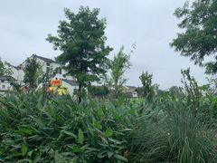 -塘径小院农家食府