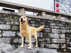 -东水关遗址公园