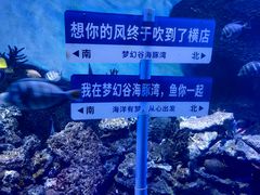 -横店影视城梦幻谷园区