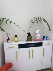 -WENDY·温迪皮肤管理