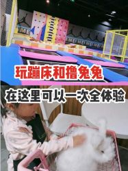 -萌兔星空蹦床撸兔馆