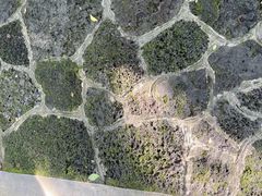 -海口火山口国家地质公园