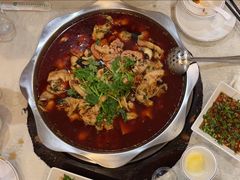 -冯鱼头火锅(青蓝山美食一条街店)