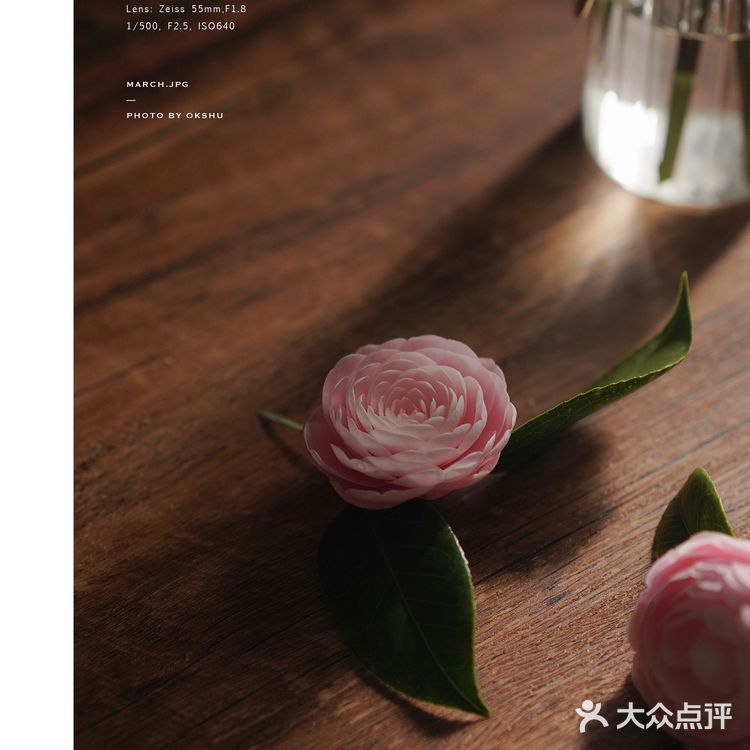 今日份花事 · 关于花的原图