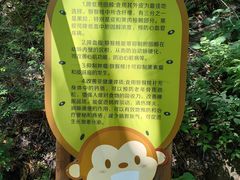 -大岭沟猕猴桃谷风景区