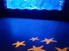 -太平洋海底世界