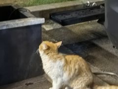 -琬苑鸽庄·川粤融合菜(解放碑总店)
