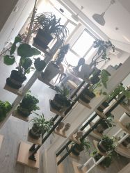 -一个差评成就的纹眉店