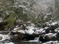 -西岭雪山大飞水景区