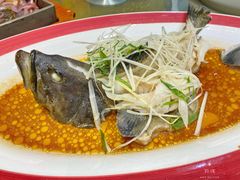 清蒸龙胆鱼-阿伟海鲜楼·福建菜(涵江店)