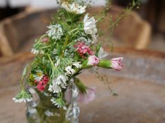 -翠贝卡&Mama Kelly Brunch Coffee(河西店)