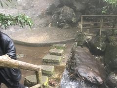 -东天目山风景区