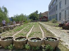 -鄞州雪菜博物馆