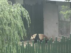 -沈阳森林动物园