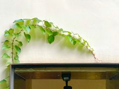 门面-莫催咖啡