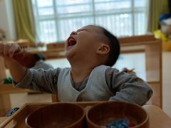 -自然树儿童之家(海珠翠城花园托育.早教校区)