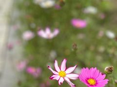 -同里国家湿地公园