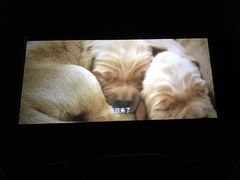 -金逸影城(名汇店)