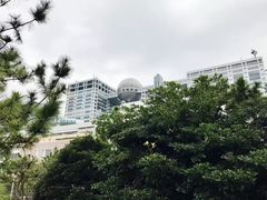 -台场海滨公园船码头