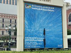 -澳门威尼斯人综合度假区