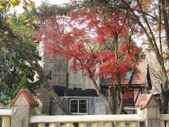 android_upload_pic-八大关景区