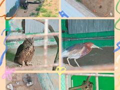 -西霞口神雕山野生动物世界